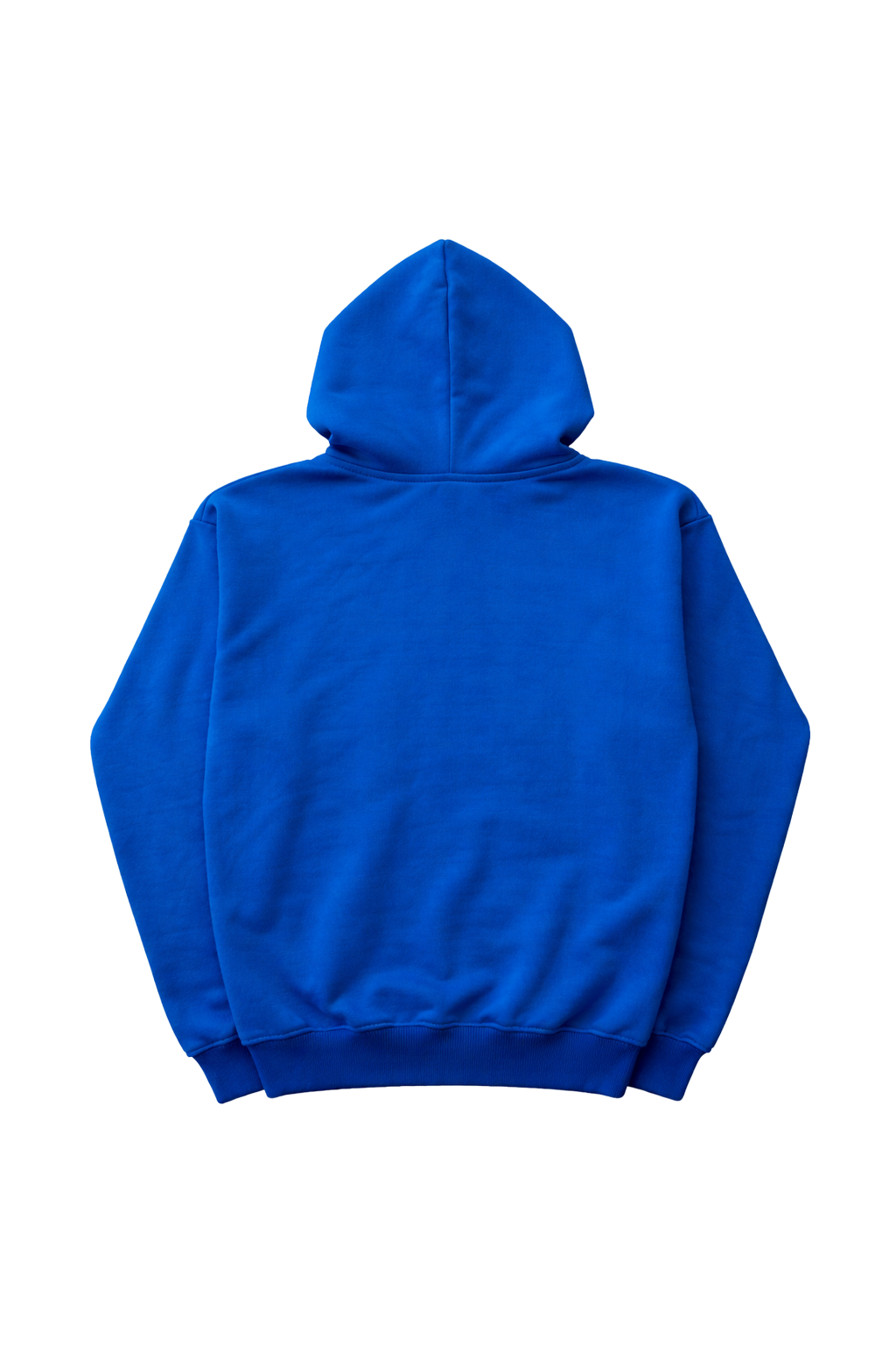 Bluebird Basics Hoodie